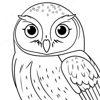Hedwig Pöllö Värittämissivu | Hedwig värityssivu