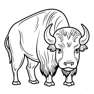 Buffalo värityssivu | Bisoni värityssivu