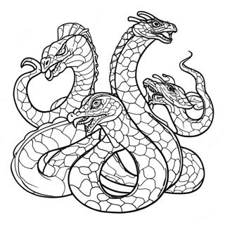 Hydra värityssivu | Hydra värityssivu