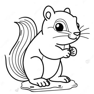 Orava Värityskuvat