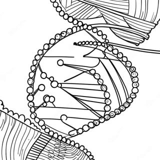 DNA-rakenne värityssivu | DNA värityssivu
