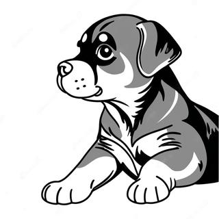 Leikkisä rottweilerpentu värittämissivu | Rottweiler värityssivu