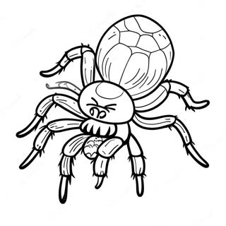 Tarantula värityssivu | Tarantula värityssivu