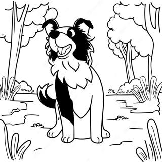 Leikkisä Border Collie puistossa värityskuva | Border Collie värityssivu