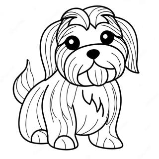 Havanese-koiran värityssivu | Havanese värityssivu
