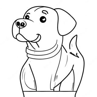 Labrador värityssivu | Labrador värityssivu