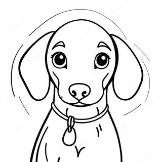 Weimaraner-pennun värittämissivu | Weimaraner värityssivu
