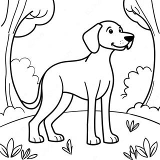 Leikkisä Weimaraner puistossa värittämissivu | Weimaraner värityssivu