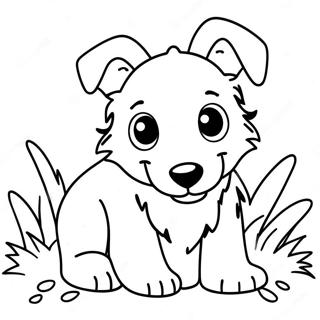 Leikkisä collie-pentu värityssivu | Collie värityssivu