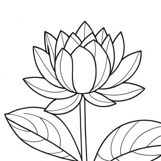 Kaunis lotus kukassa värityssivu | Lotus värityssivu