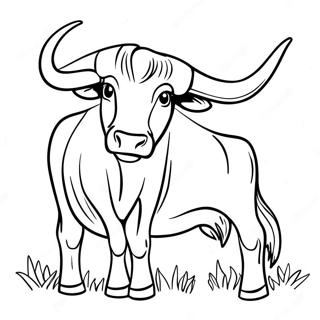 Texas Longhorn härkä värityssivu | Texas värityssivu