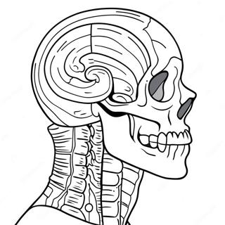 Anatomia Värityskuvat